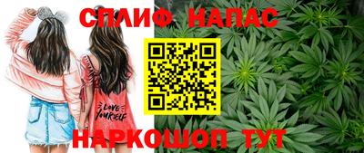 мдпв Жуковский