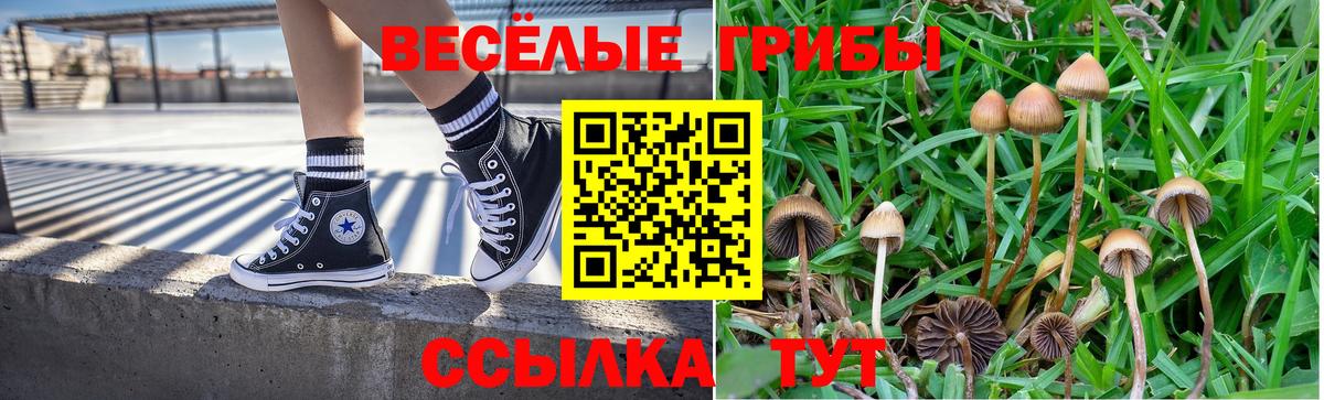 Псилоцибиновые грибы мухоморы  Вход с VPN  Можайск 
